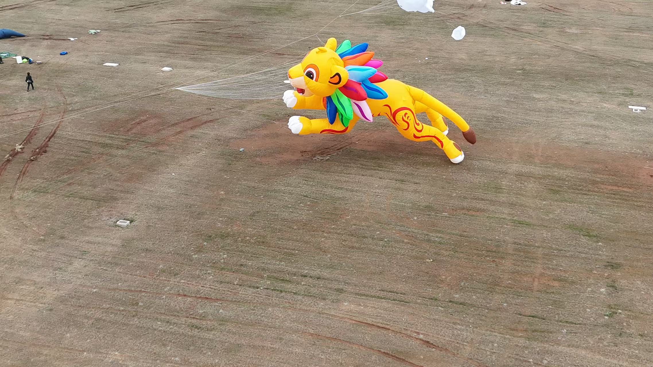 厦门市品牌风筝定制儿童风筝定制 - 厂家