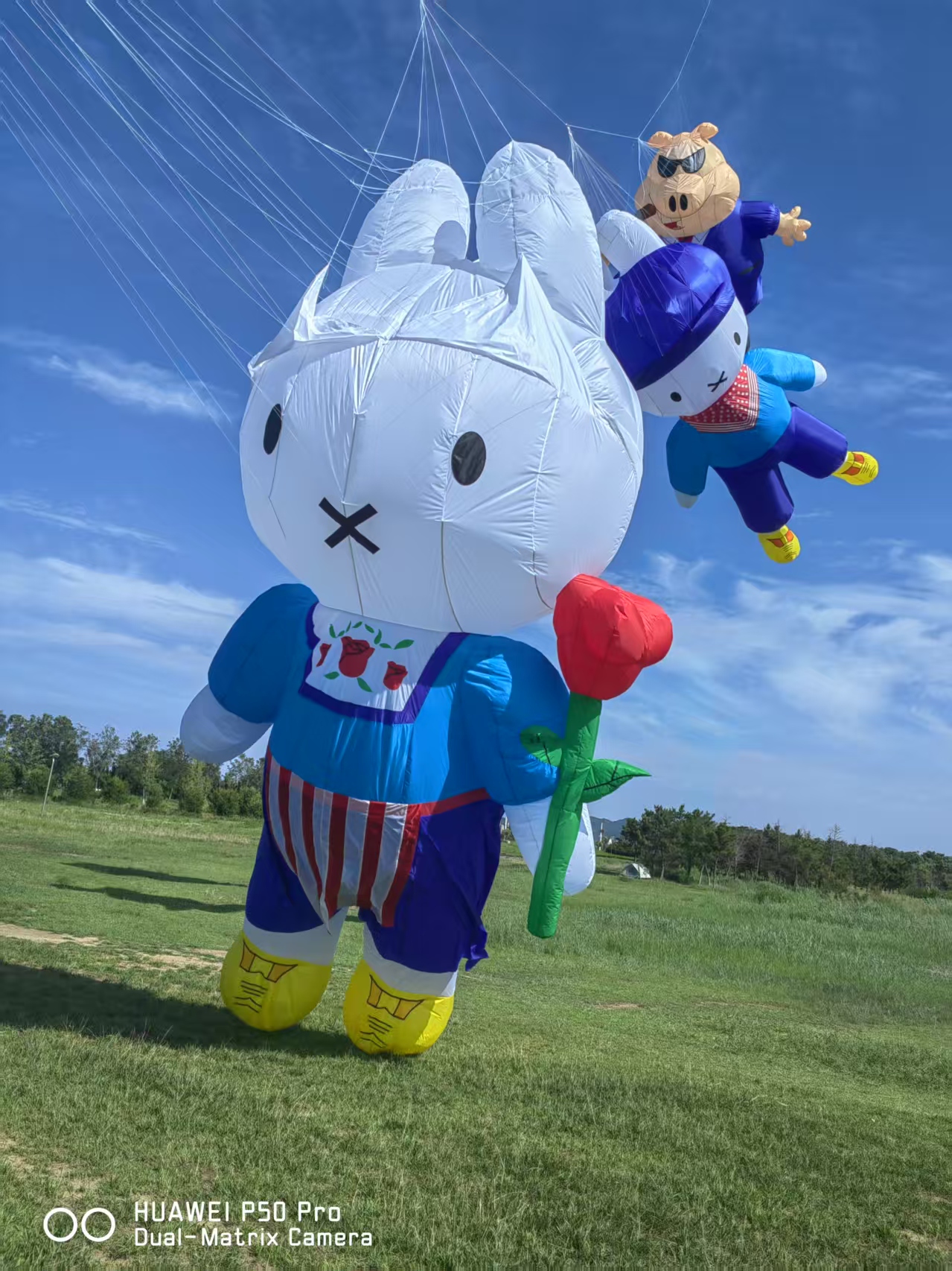 厦门市儿童风筝定制风筝制作 - 厂家