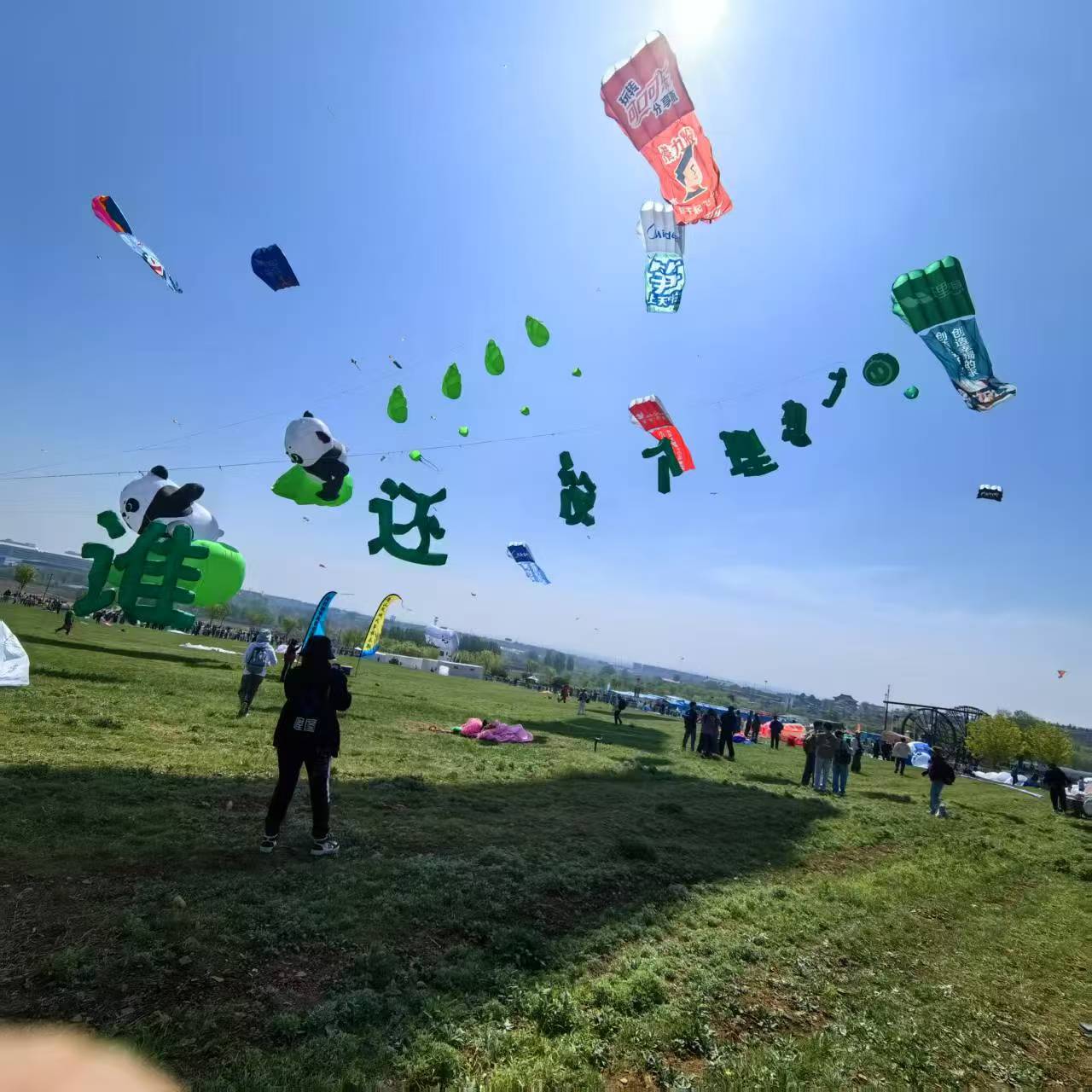 厦门市风筝放飞活动策划风筝定制 - 哪里好